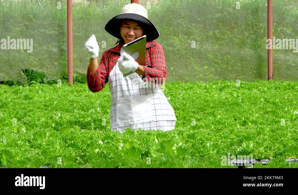 Female farmers in apron and gloves dancing in vegetables hydroponic ...