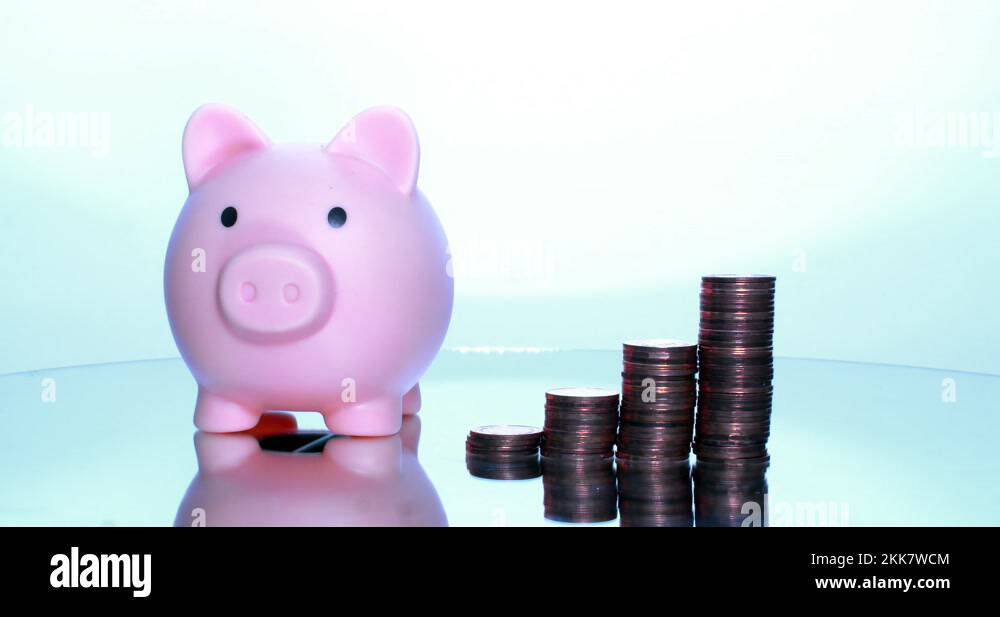 Porky pig porky pig porky Stock Videos & Footage HD and 4K Video