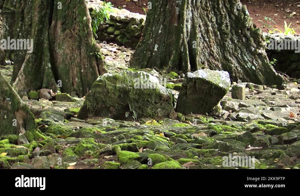 Restored archeological site of ancient communal Marae in Moorea, French