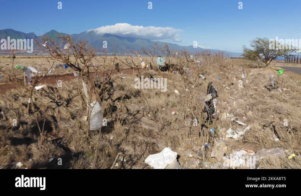 Ugly view of plastic bags on Hawaii island, USA. Human waste polluting