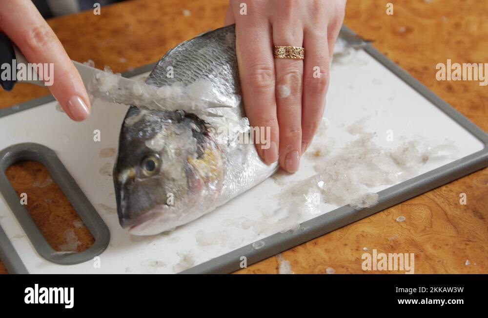 Fish scales Stock Videos & Footage HD and 4K Video Clips Alamy