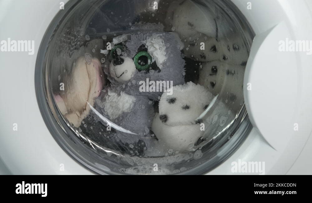 Teddy bear in the washing machine Stock Videos & Footage HD and 4K