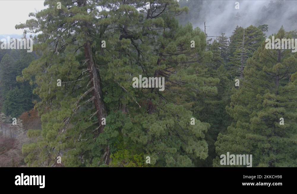 Fog lift Stock Videos & Footage HD and 4K Video Clips Alamy