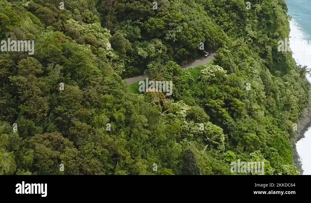 Road to hana with car Stock Videos & Footage HD and 4K Video Clips