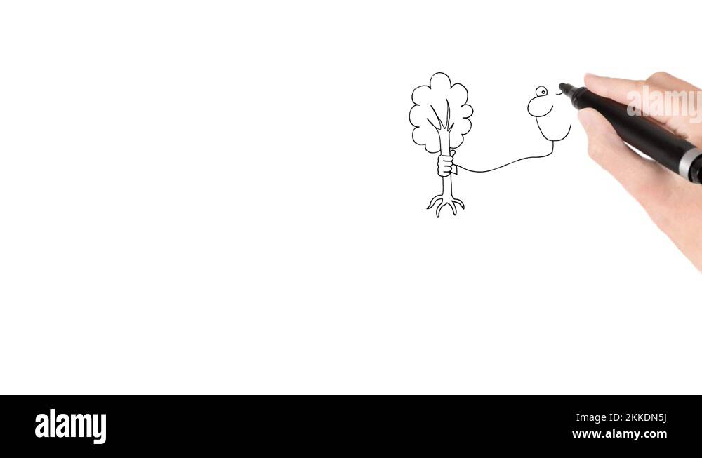 Papermaking by hand Stock Videos & Footage HD and 4K Video Clips Alamy