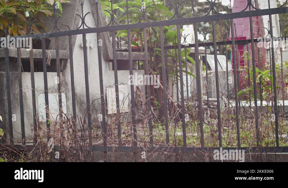Indonesian railing Stock Videos & Footage HD and 4K Video Clips Alamy