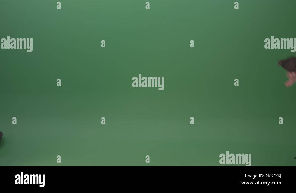 Raft of a gray pigeon in a circle of landing isolated on green screen ...