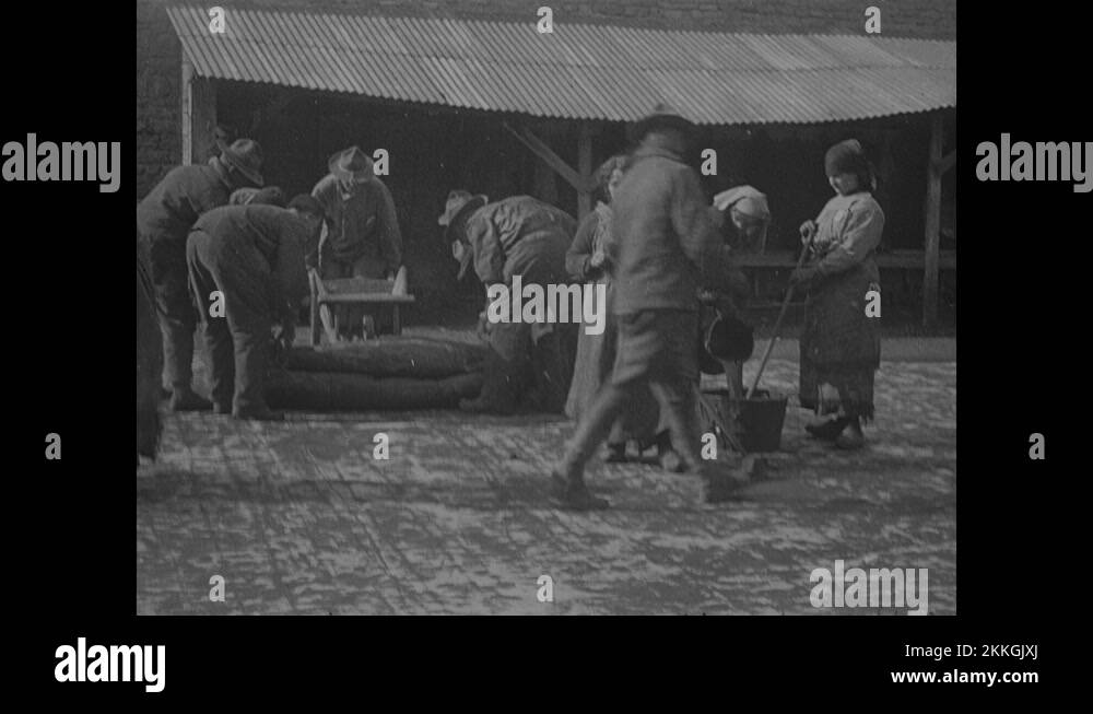 Rigging techniques Stock Videos & Footage - HD and 4K Video Clips - Alamy