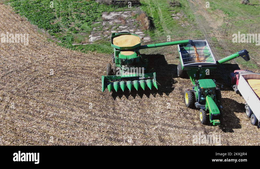 Combine Harvester with full hopper unloading grain with swing out auger