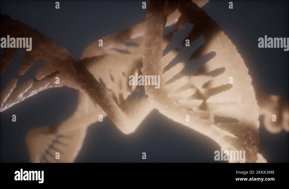 loop double helical structure of dna strand close-up animation Stock ...