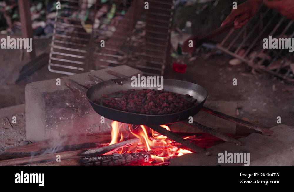 Cocoa hut Stock Videos & Footage HD and 4K Video Clips Alamy