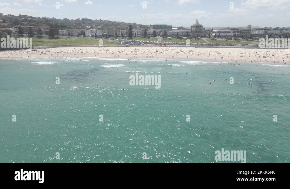 White Sand Bondi Beach Tourists Sunbathing Swimming And Surfing In Stock Video Footage Alamy