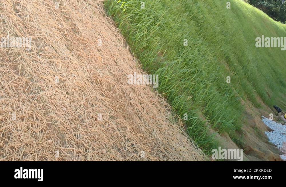 Slope protection Stock Videos & Footage HD and 4K Video Clips Alamy