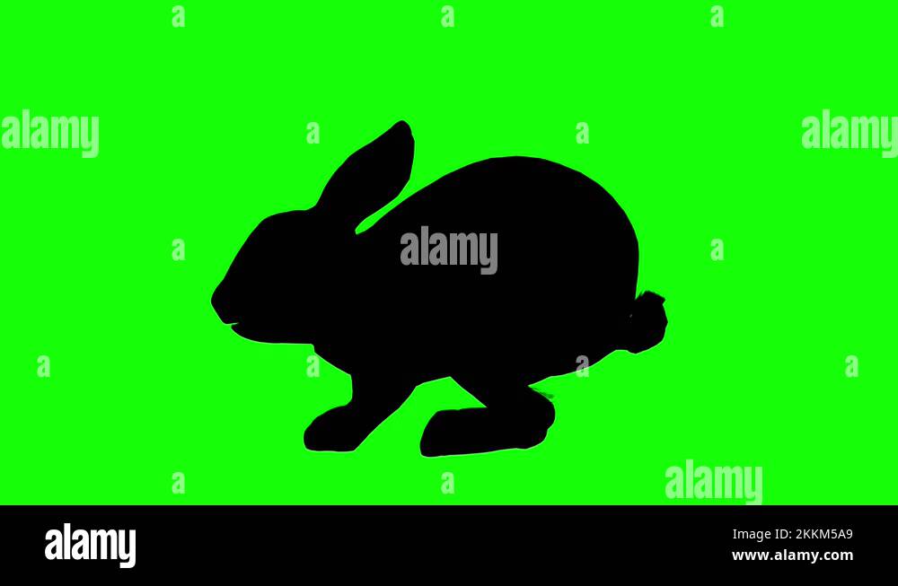 Silhouette of a rabbit hop jump, on green screen, side view. Animal