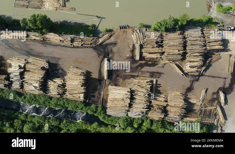 Giant lumber yard in Oregon. Aerial view of endless deforestation