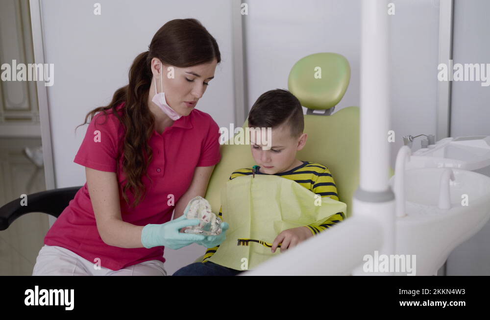 Dentist shows a boy how to brush teeth rightly using toothbrush and jaw