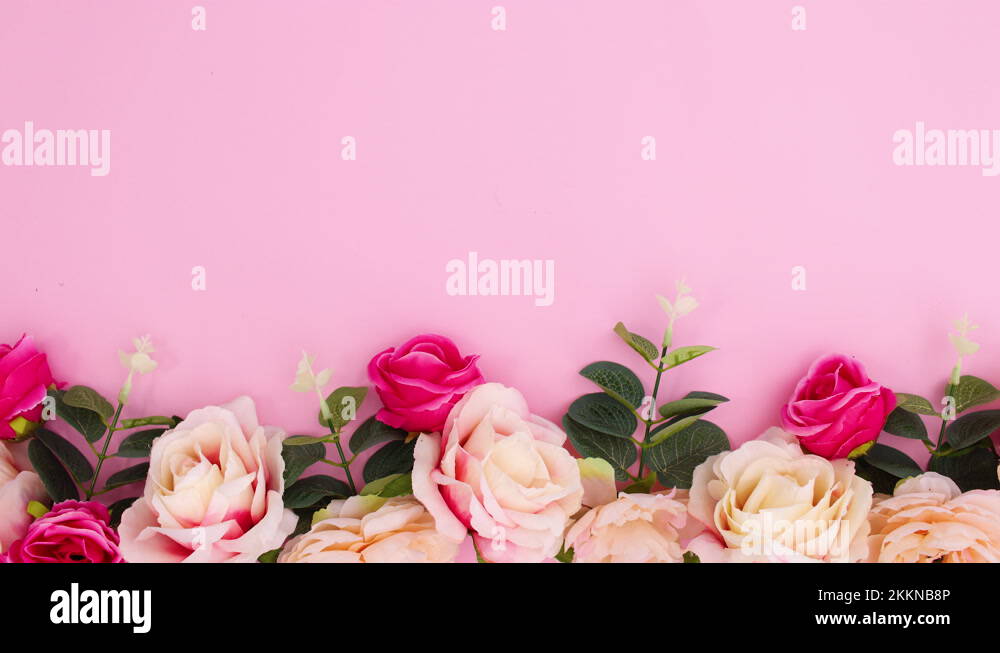 Floral bloom Stock Videos & Footage - HD and 4K Video Clips - Alamy