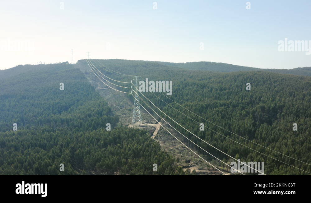 Strip logging Stock Videos & Footage HD and 4K Video Clips Alamy