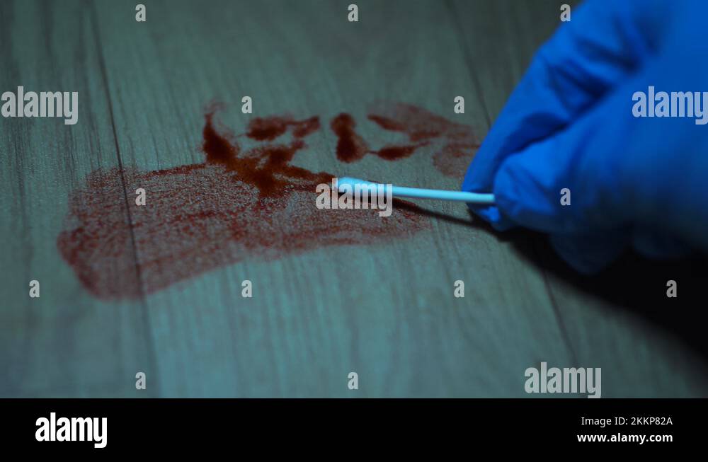 CSI Collect Blood Sample From Murder Crime Scene, 4K Stock Video