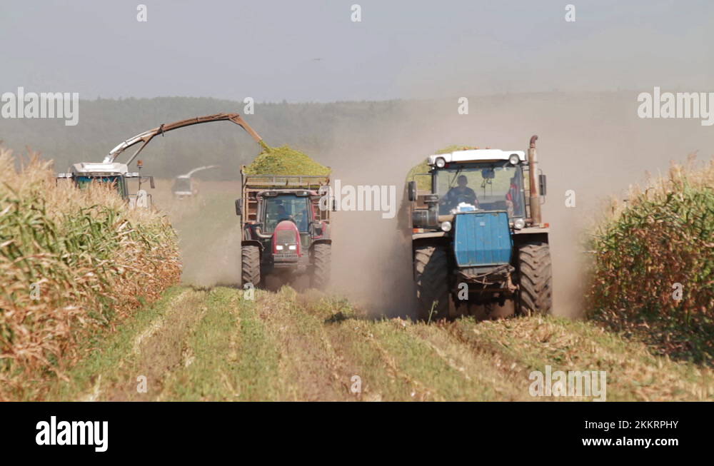 Combine and tractor drive slowly across field. Modern harvester loading off Stock Video Footage