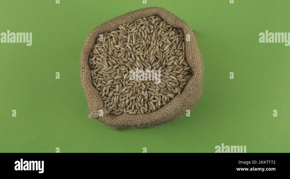 Rotation of a full sack of rye grain. Top view. Isolated Stock Video