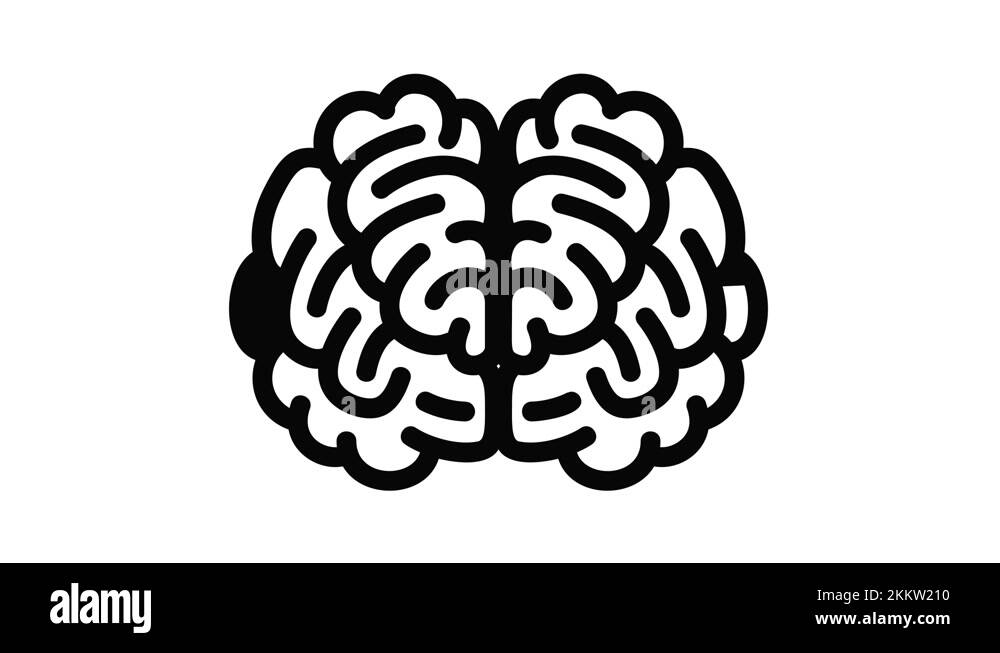 Brain anatomy side Stock Videos & Footage - HD and 4K Video Clips - Alamy