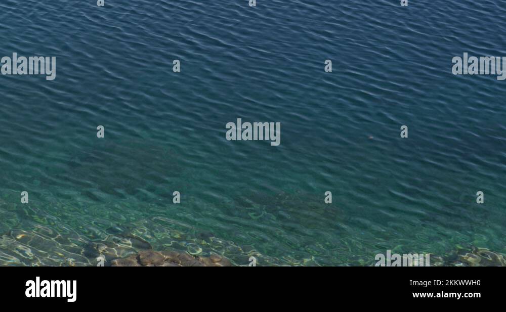 Pond pattern Stock Videos & Footage - HD and 4K Video Clips - Alamy