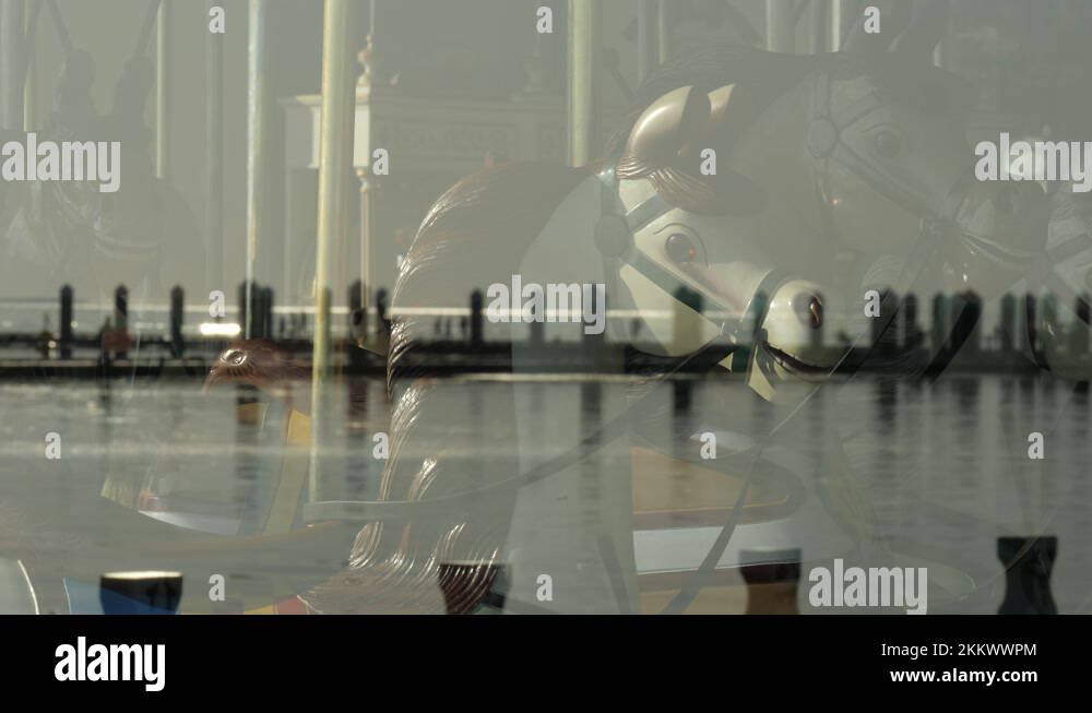 Sunny bay window Stock Videos & Footage - HD and 4K Video Clips - Alamy
