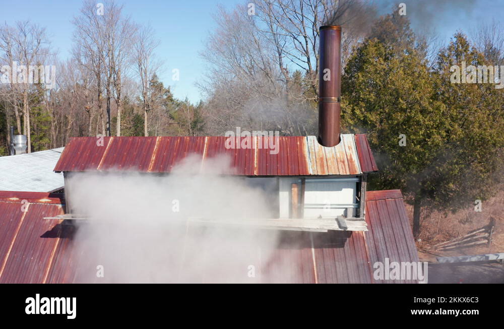 Sugar Shack Boiling Sap From Maple Trees to Produce Maple Syrup in