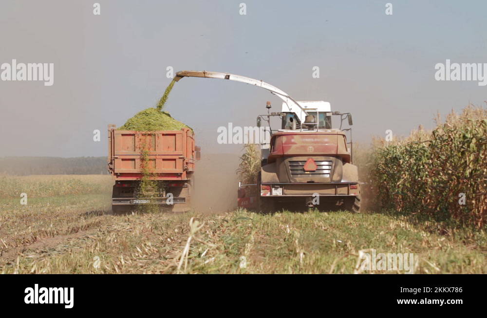 Combine and tractor drive slowly across field. Modern harvester loading off Stock Video Footage