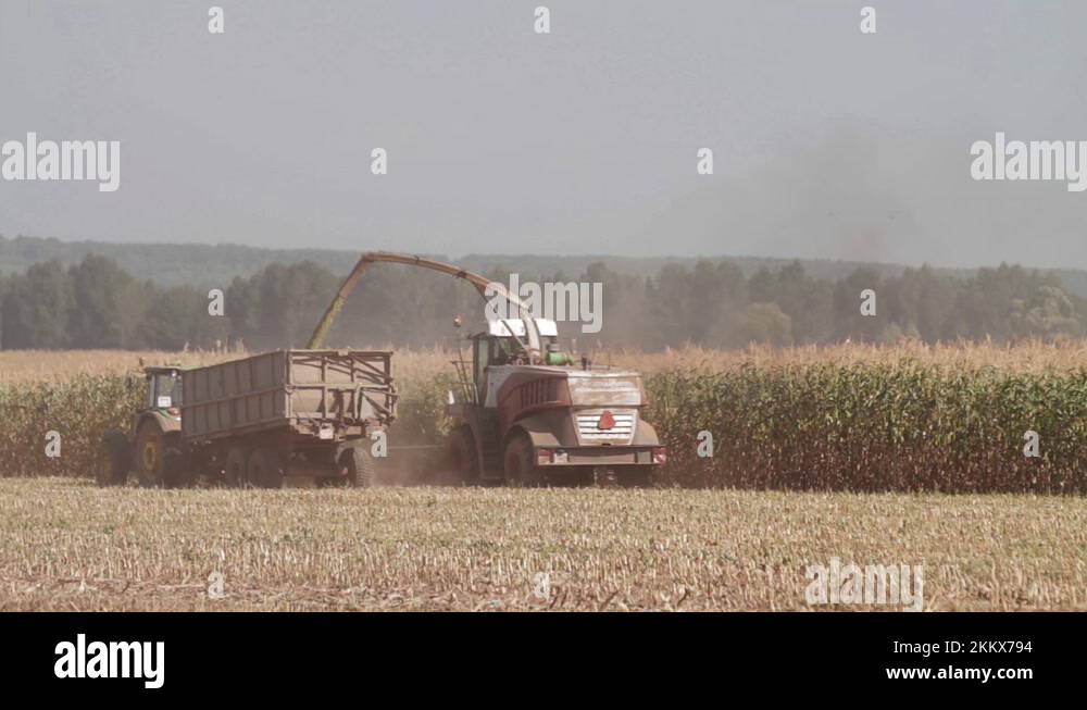 Combine and tractor drive slowly across field. Modern harvester loading off Stock Video Footage