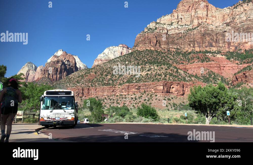 Designated shuttle bus Stock Videos & Footage HD and 4K Video Clips