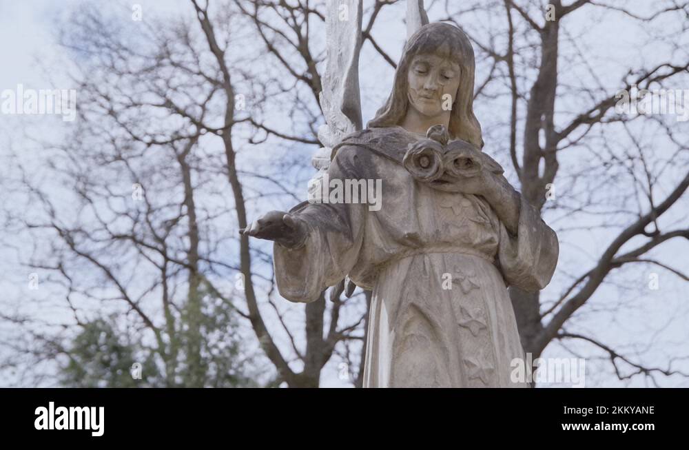 Cracked sculpture Stock Videos & Footage HD and 4K Video Clips Alamy