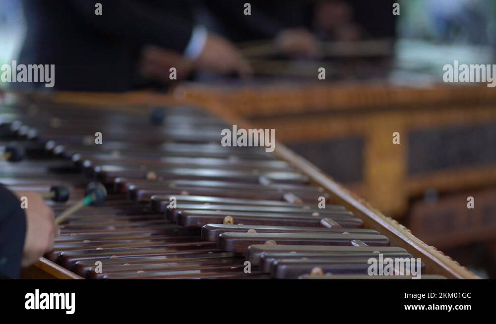 People musicians marimba Stock Videos & Footage HD and 4K Video Clips