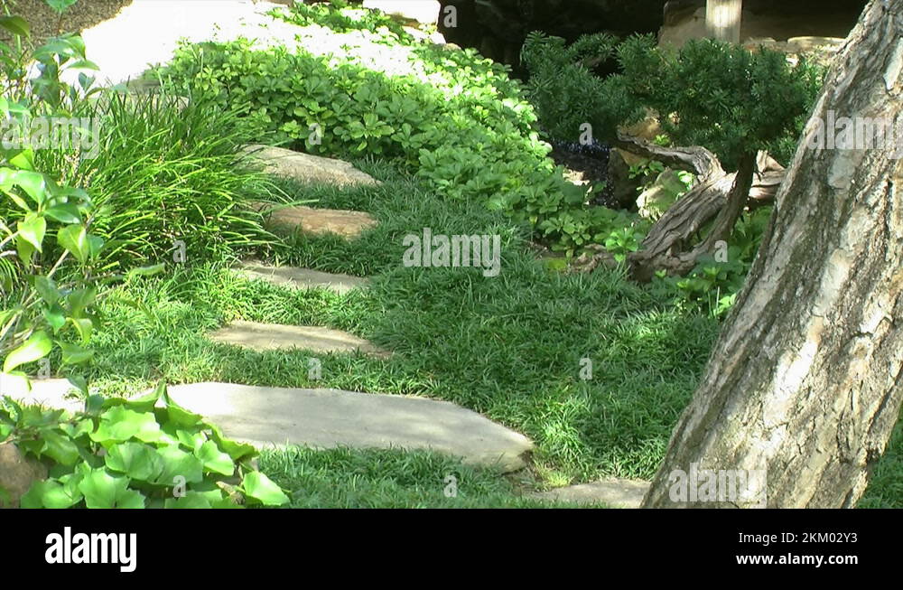 Japanese garden stepping stones Stock Videos & Footage HD and 4K
