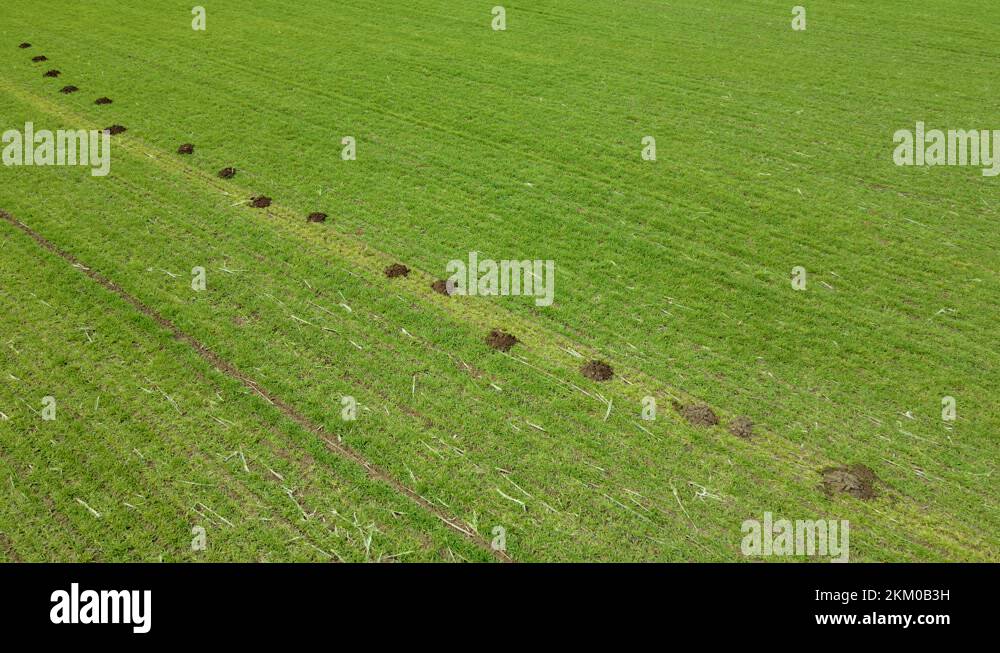 Blind holes Stock Videos & Footage HD and 4K Video Clips Alamy