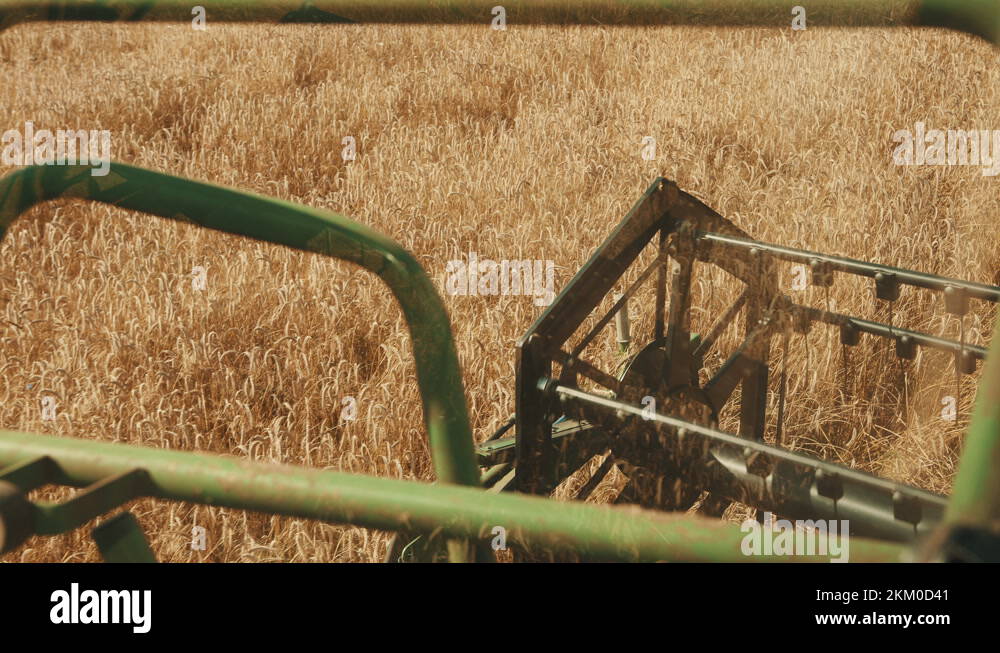 Combine Harvester Harvesting In The Field.Cutter Bar Moving Forming