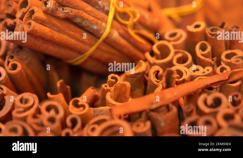 Bark of cinnamon tree Stock Videos & Footage HD and 4K Video Clips