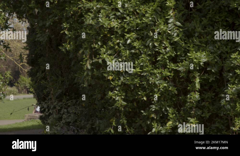 Bath sydney gardens Stock Videos & Footage HD and 4K Video Clips Alamy