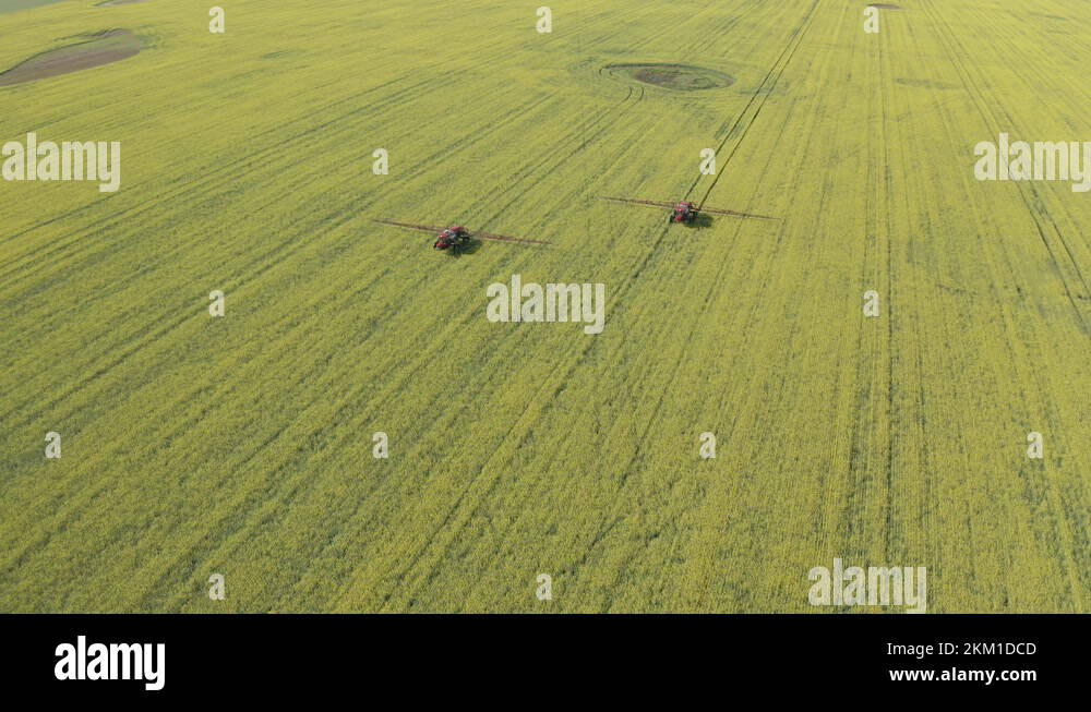 Tractors Spraying Fungicide On Canola In Green Field At Countryside Of ...