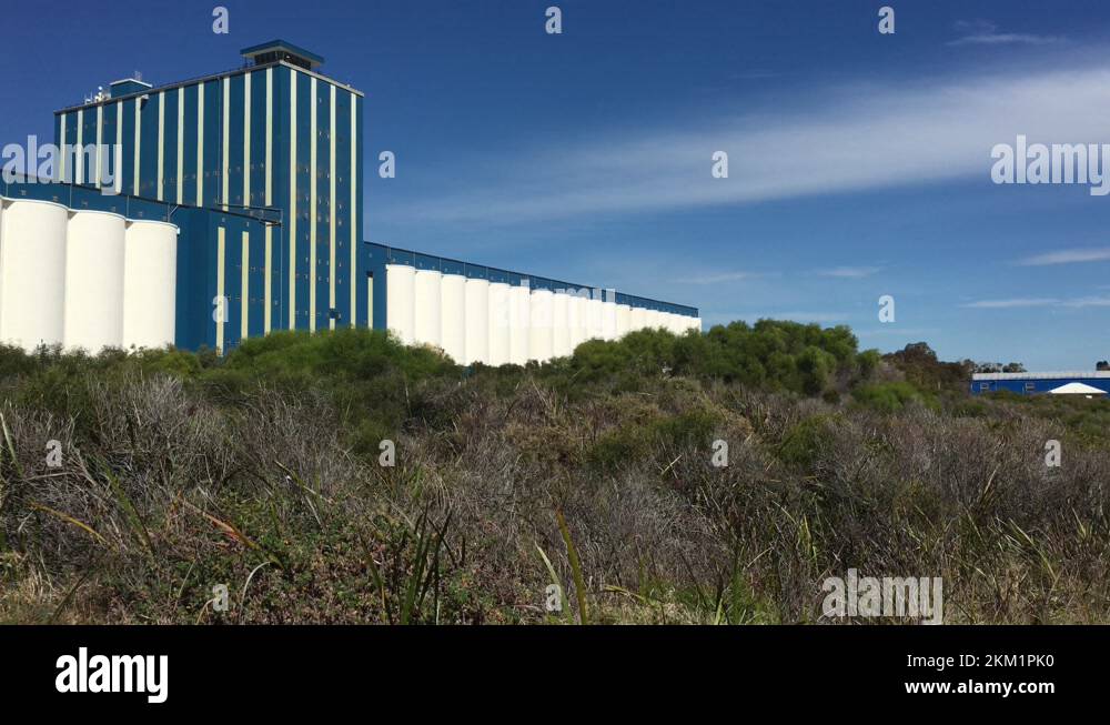 Grain export australia Stock Videos & Footage HD and 4K Video Clips