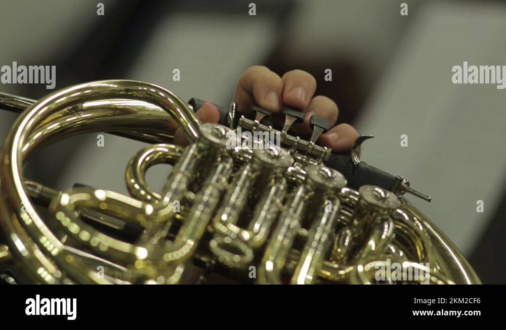 The french horn Stock Videos & Footage HD and 4K Video Clips Alamy