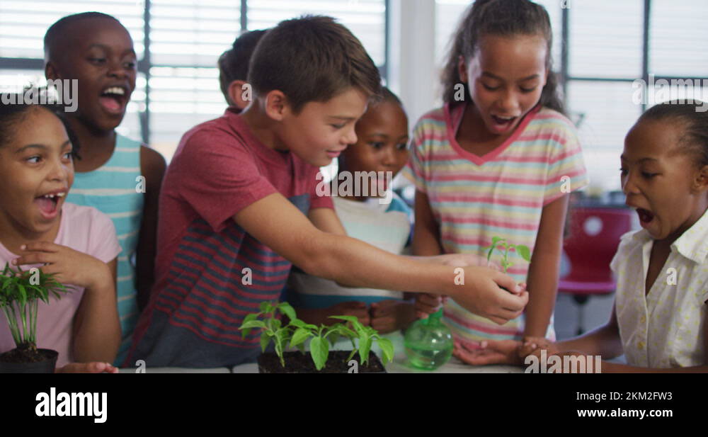Diverse group of happy schoolchildren looking after plants in classroom