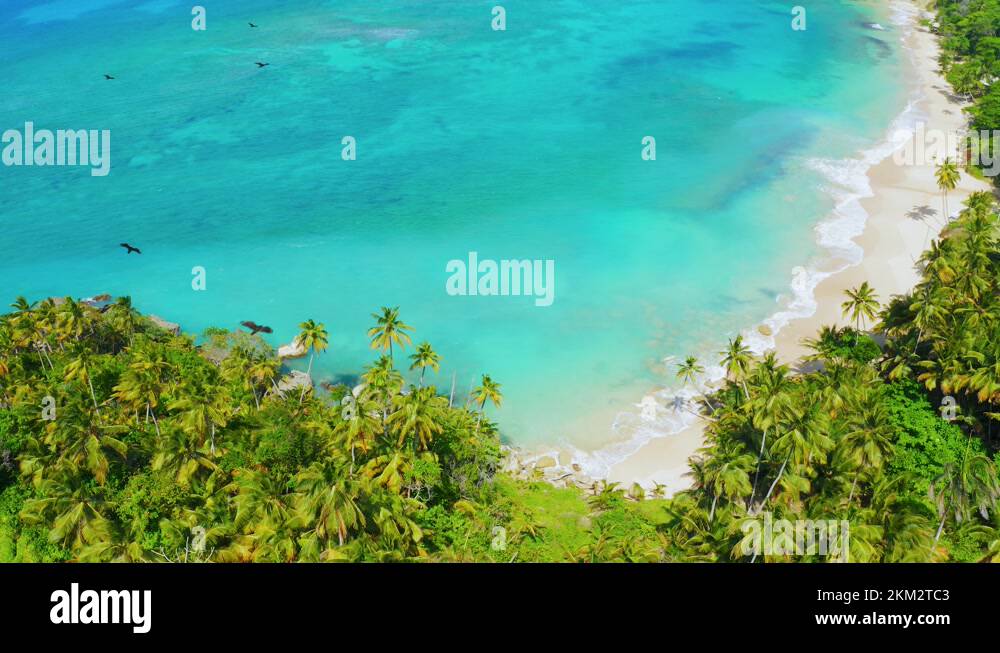 Dominican Republic sea beach background 4k Stock Video Footage - Alamy