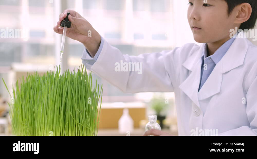 Discovery in agriculture Stock Videos & Footage HD and 4K Video Clips