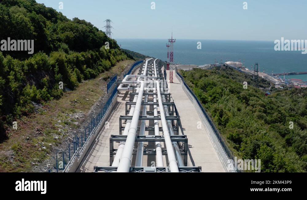 White oil Stock Videos & Footage - HD and 4K Video Clips - Alamy