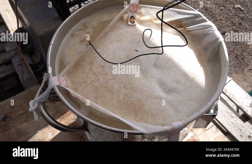 Measuring temperature and attributes of mash and the brew, at an