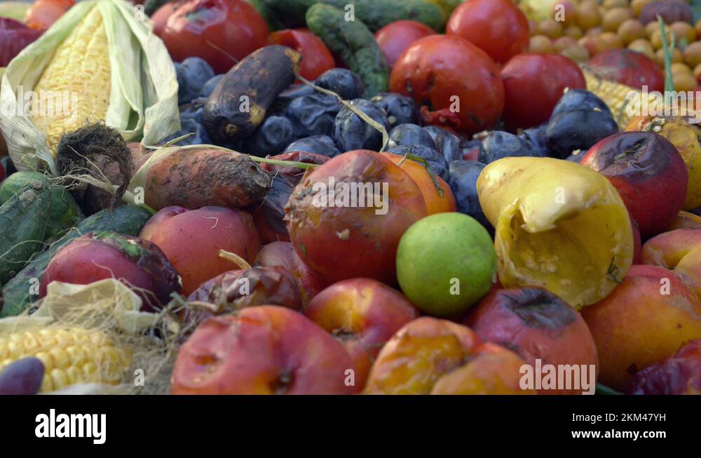 Food waste farm Stock Videos & Footage HD and 4K Video Clips Alamy