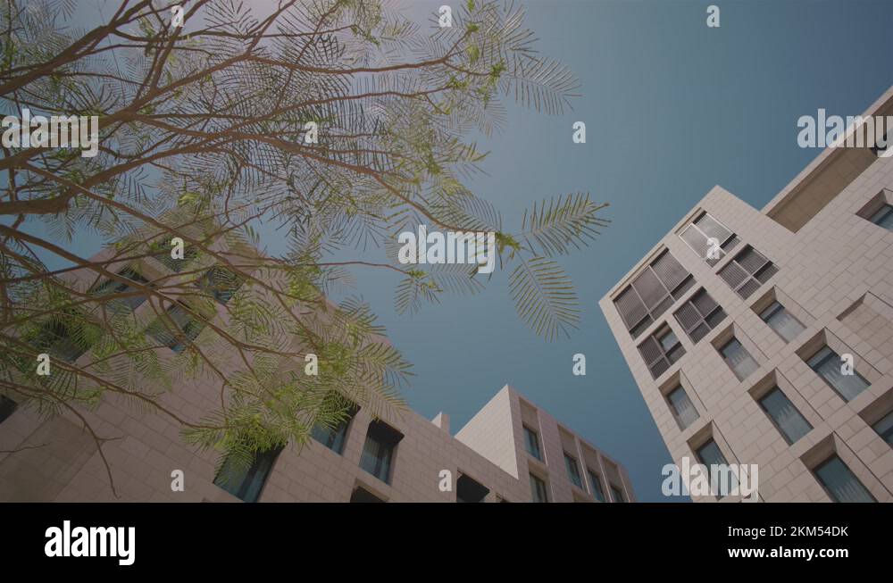 Doha Qatar Camera tracking next to green plants with modern Msheireb