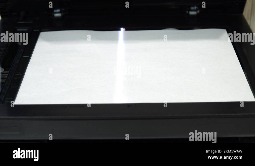 Document scanning process. Scanner in operation scans a sheet of paper